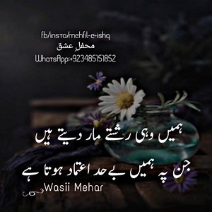 Lines 👌💔 | Pulse360 Pakistan