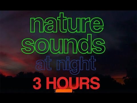 3 Hours of Nighttime Nature Sounds, Crickets, Frogs, Birds, Nature HD [1080p]
