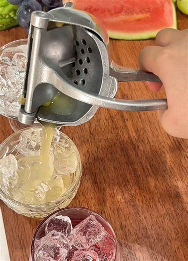 Best Manual Juicer for Freshly Squeezed Juice