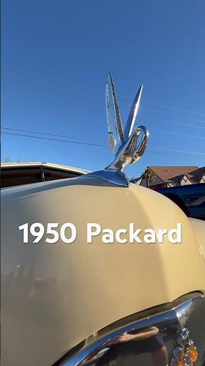 WILD SWAN HOOD ORNAMENT ON THIS 1950 Packard