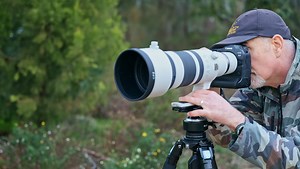 Canon RF 100-300mm f/2.8 Review: Is This $9,500 Lens Worth It?