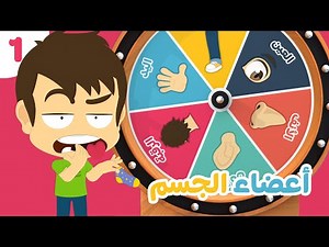 Body parts for Kids (Part 1) | Learn the body parts in Arabic for children with Zakaria & Zeeko