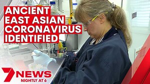 An ancient coronavirus which swept East Asia thousands of years ago has been identified by scientists from Australia and the US. Comparisons have been drawn between the ancient virus and COVID-19. “We can identify a species that has potential for transmission and we can prepare to some extent for its emergence.” - Professor Kirill Alexandrov 7NEWS at 6pm. www.7NEWS.com.au #COVID19 #7NEWS | 7NEWS Brisbane