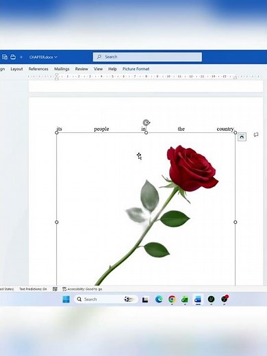How to Insert a Background Image Behind Text in MS Word | Easy Word Trick! #MSWord #Tips #Tutorial