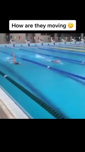 Bizarre Videos 🤔 (@bizarrevid)’s videos with original sound - Bizarre Videos 🤔