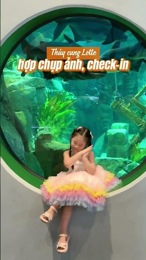 SO SÁNH THUỶ CUNG LOTTE VÀ THỦY CUNG TIMES CITY CÓ GÌ ?