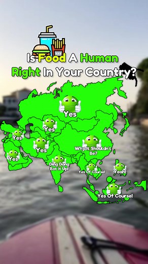 Is Food A Human Right In Your Country? // note that i did not do the whole USA map // #shorts #fyp #pin_doorghm #mapping #geography #usa #humanright
