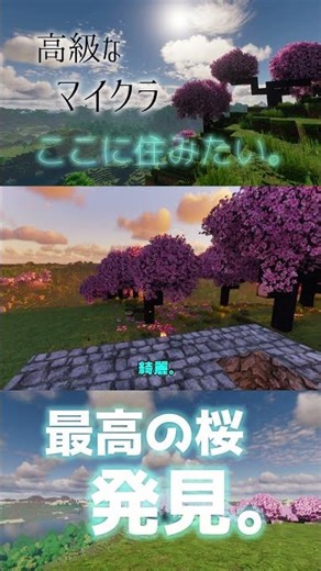 A cherry blossom scene that doesn't look like it's in Minecraft #gameplay #Minecraft