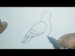 "How to Draw a Bird 🐦– Complete Step-by-Step Tutorial | Full Guide for Beginners"