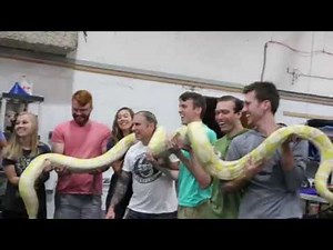 GIANT SNAKE FOUND INSIDE VAT19 STUDIOS!!! | BRIAN BARCZYK