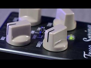 Source Audio True Spring Reverb