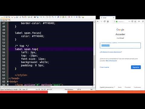 Placeholder Animado al hacer foco en un INPUT | Efecto con CSS y JAVASCRIPT