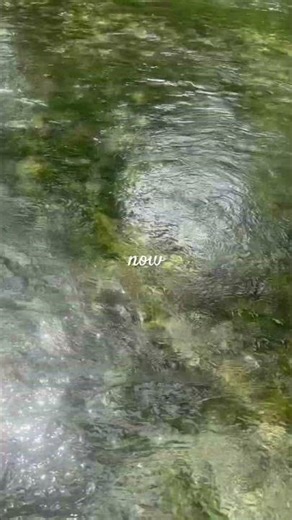 Worship at flowing spring run