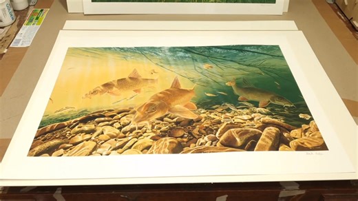 I usually save doing the prints until the evening during the week, saving the daytime for painting, but we're out for a staff breakfast shortly, so I've made a start on the orders this morning. We take a lot of care to get the prints as close as possible to the original painting, and use only the best quality inks and paper, with acid free mount and backing board too. Our postal service gets a lot of stick, but for the most part they do an excellent job for us - with hundreds of prints sent in a