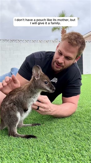 I don’t have a pouch like its mother, but I will give it a family.