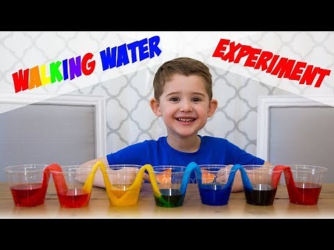 Walking Water Experiment - Rainbow Walking Water - Science Fair Project Ideas