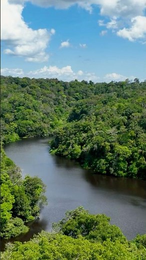 How the Amazon Rainforest Creates Its Own Rain | Nature’s Hidden Miracle!