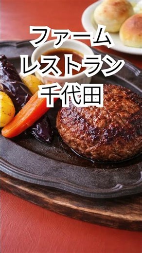 【保存版】北海道・美瑛で絶対外せない絶景まとめ #youtubeshorts #旅行#国内旅行 #北海道