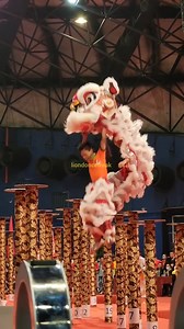 2023 14th Genting World Lion Dance Championship 越南精英堂藝術龍獅團 Jing Ying Tang Dragon and Lion Dance Troupe, Vietnam 難度 Difficulty - 13個/2.00 總扣 Deduction - 1.00 總得 Score - 8.30 Highlight video Such a waste! Very good performance! | Liondoncefreak