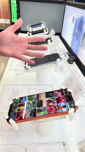 Fun Dog Tricks: Show Off Your Pup's Tongue Skills