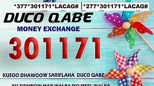 8.7K views · 168 reactions | Duca qabe sarifle ha mogaanin dadwaynoow | Tooshka Siyaasadda | Facebook