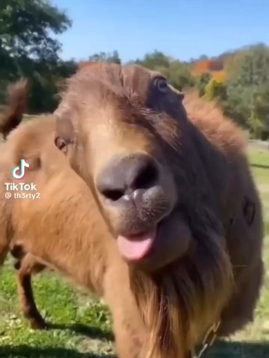 Join Us for an Exciting Call Center Opportunity | MEBS SOGOD SITE