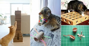 13 DIY Cardboard Cat Toys Ideas