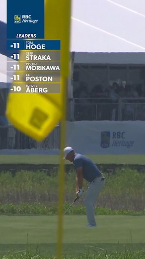 6.8K reactions · 79 shares | A crowded leaderboard heading to the weekend at RBC Heritage  | PGA TOUR | Facebook