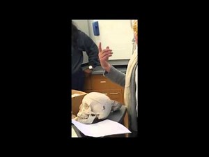 Anatomy and Physiology 1: Chapter 6, 9, & 10 Bones Practical Exam Review