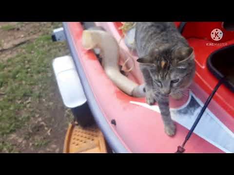 Testing a Kawasaki jet ski fuel sending unit before you install it.