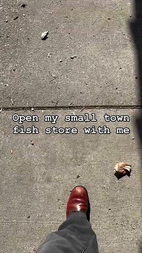 Let’s open my small town fish store together! #aquarium #lfs #smallbuissness #fish | Indoor Fins LLC