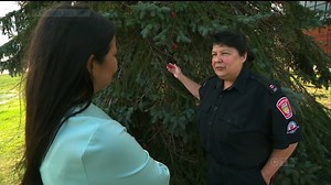 Thunder Bay Police Service Const. Sharlene Bourdeau is on a mission to change the way her department views and handles MMIWG cases. CTV's Donna Sound reports. Watch the full newscast here: https://bit.ly/3ieGyyu | CTV News
