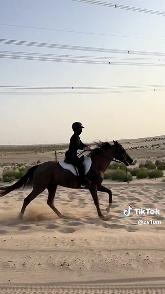 Horse Riding and Endurance Training for Women
