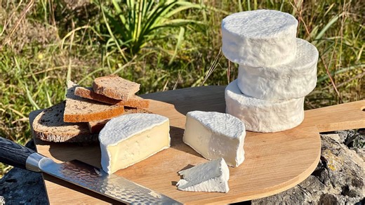 How to Make Creamy Camembert Cheese?