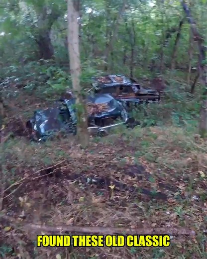 367K views · 5.2K reactions | These forgotten classic cars were found treasure hunting in a Civil War camp deep in the woods, exploring for Civil War relics at the camp used by both Union and Confederate troops at different times! We were shocked to find even one old car miles back in the woods like this is rare, but several were unheard of. #forgottencars #civilwarcamp #metaldetecting | History Seekers | Facebook
