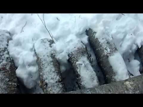 Log skidding with snowmobile