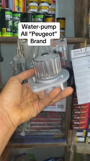 Understanding Peugeot Water Pumps and Their Functionality