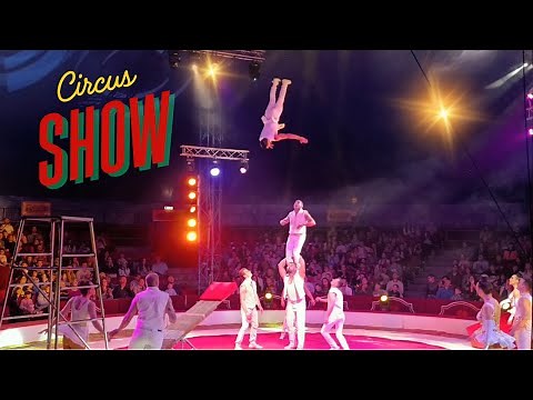 Flying High: Breathtaking Circus Swing Act! | Прыжки в цирке