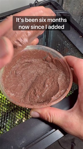 Creating a 6-Month Indoor Ecosystem: A Guide