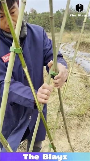 Building a Fence with Just Tree Branches?! Is This the SMARTEST Village Hack Ever? 🌿😲