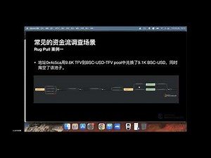 MetaSleuth: 链上资产追踪及调查