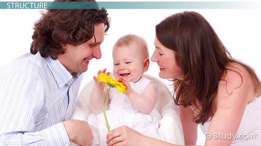 Uterine Cavity Definition, Anatomy & Function