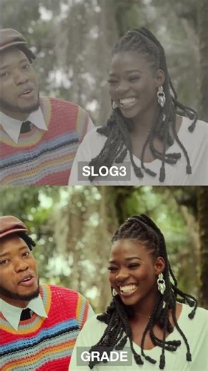 What's the DIFFERENCE Between Slog3 and Final Grade in Davinci Resolve?