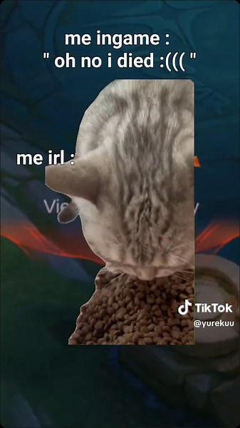 Enjoy Your Snack Break with Mobile Legends Memes | MLBB Funny Compilation