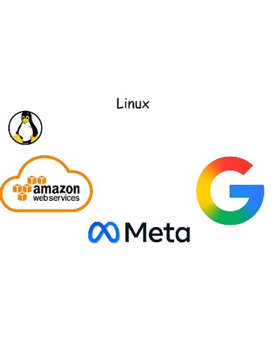 Understanding Linux: The Basics of This Operating System