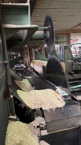 Here’s a nice soft maple that we cut a while ago! I hope you enjoy these videos, soon we’ll have sawing videos with our new equipment! #greenridgeforestry.com #greenridgeforestproducts #professionaltimbermanagement #usemorewood #sawmill | Green Ridge Forest Products
