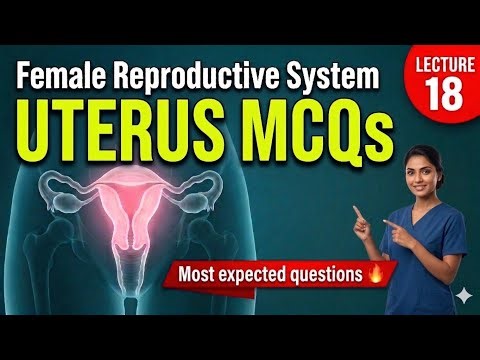 Uterus MCQs for Nursing Exams | Female Reproductive System Most Expected question