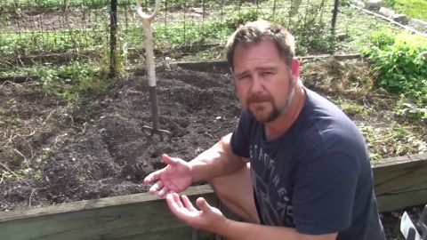 How to Grow Peanuts in the Home Garden & Cook Them to Eat