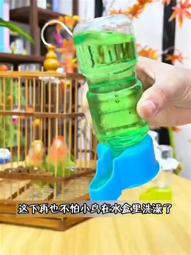 Healthy Water Solutions for Your Pet Birds