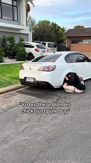 Holden Commodore SV6 VF: A Powerful V6 Experience